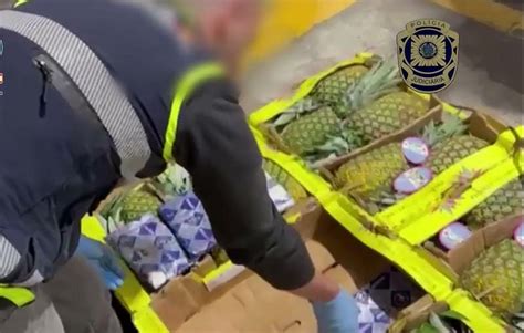 spakol las pinas|Intervenida una tonelada de cocaína en un contenedor de piñas .